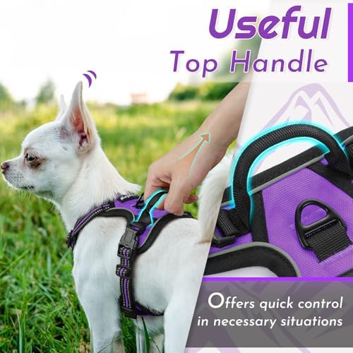 Eagloo Dog Harness for Small Dogs, No Pull Pet Vest with 2 Leash Clips - Image 5