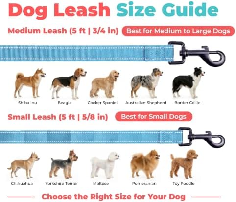 Best Pet Supplies Voyager Nylon Dog Leash - Sky Blue, Medium - Image 6