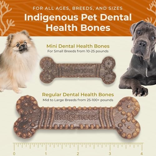 Indigenous Pet Dental Health Bones - Peanut Butter, 2-Pack (17 oz Each) - Image 6