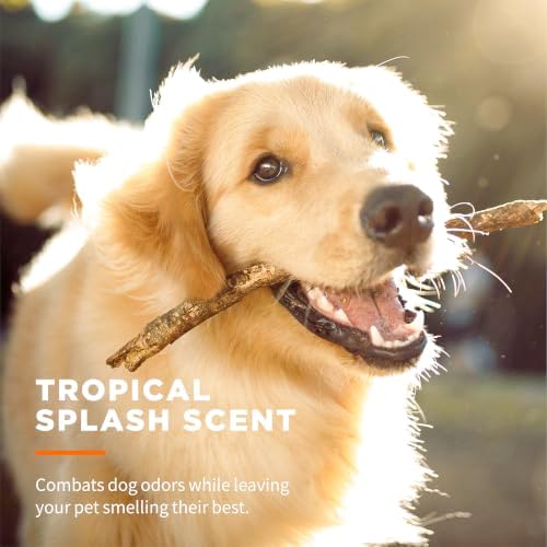 Wet Ones for Pets Paw and Tushie Dog Wipes, Tropical Splash, 30 Ct, 24-Pack - Image 6