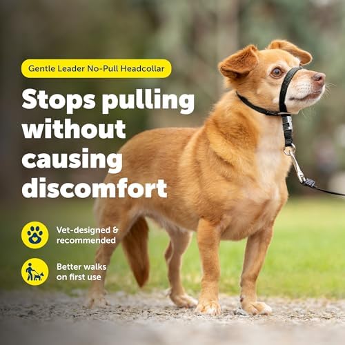 PetSafe Gentle Leader No Pull Dog Headcollar, Black, Petite - Image 2