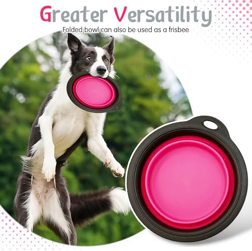 PINVNBY Elevated Dog Bowls Portable Raised Dog Bowl Stand with 2 Collapsible Silicone Food Bowl Non-Slip Travel Bowls for Small Dogs and Cats (14.6" L x 3.9" W x 3.9" H) - Image 5