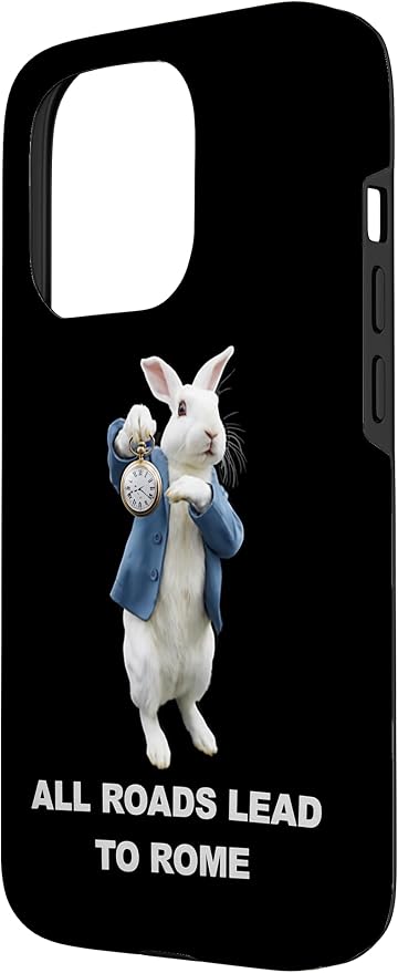 Funny AI Rabbit Meme Tshirt - All Roads Lead to Rome Humor Case for iPhone 15 Pro - Image 2