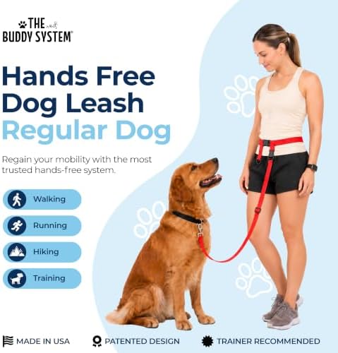 The Buddy System - Hands Free Dog Leash - Regular Dog, Regular, Red - Image 2
