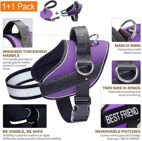 Haapaw Essential Dog Harness, No Pull Pet Vest with 3 Leash Clips, No Choke, Reflective, Adjustable and Padded, for Easy Walking and Training for Small Dogs(S, Purple) - Image 2