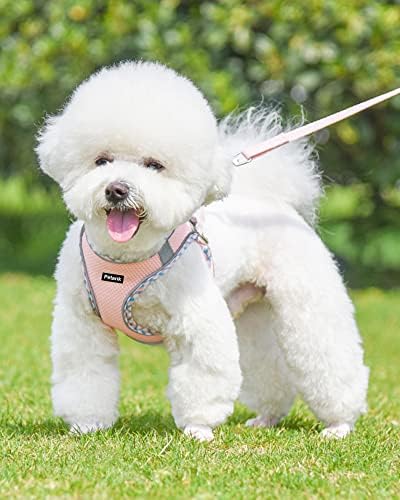 Petank Dog Harness for Small Medium Dogs No Pull, Puppy Harness and Leash Set, Step in Dog Harness for Walking, Running, Training, Small Dog Vest, Medium Dog Vest (Pink, M) - Image 2
