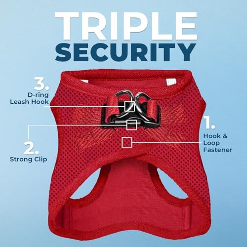 Best Pet Supplies Voyager Step-in Air All Weather Mesh Harness and Reflective Dog 5ft Leash Combo with Neoprene Handle, for Small, Medium and Large Breed Puppies - Red, X-Small - Image 2