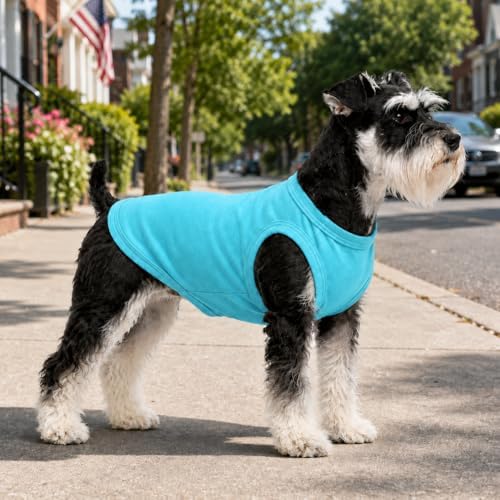 Pet Clothes Dog Clothing Blank T-Shirt Tanks Top Vests for Small Middle Large Size Dogs 100% Cotton Dog Summer Vest Classic (M, Turquoise) - Image 5