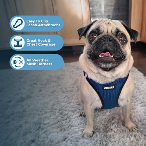 Best Pet Supplies Voyager Step-in Air All Weather Mesh Harness and Reflective Dog 5ft Leash Combo with Neoprene Handle, for Small, Medium and Large Breed Puppies - Blue/Black Trim, XX-Small - Image 5