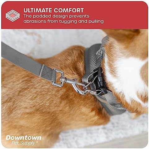 Downtown Pet Supply Step in Dog Harness No Pull, X-Large, Light Gray - Adjustable Harness with Padded Mesh Fabric and Reflective Trim - Buckle Strap Harness for Dogs - Image 6