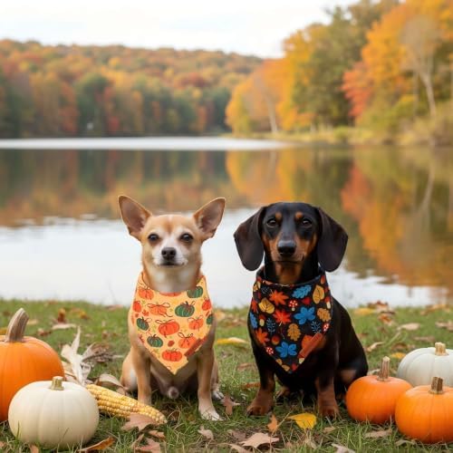 ADOGGYGO Fall Thanksgiving Dog Bandana Girl Boy, Pumpkin Bow Dog Scarf, S - Image 3