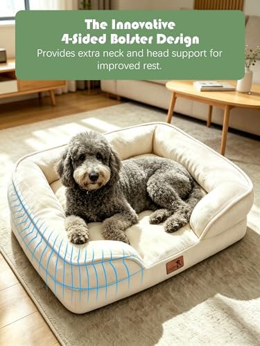 Spotted Play Orthopedic Dog Bed with Sides - Sofa Beds for Large Dogs, Supportive Foam Pet Couch Bed with Washable Removable Cover, Waterproof Lining and Non-Slip Bottom, Ivory - L-Plus - Image 5