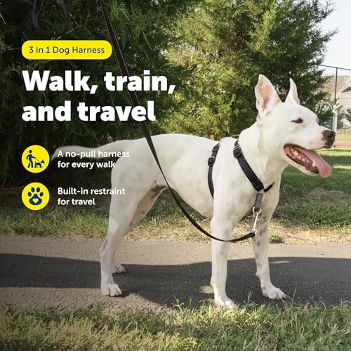 PetSafe 3 in 1 No-Pull Dog Harness - Walk, Train or Travel - Helps Prevent Pets from Pulling on Walks - Seatbelt Loop Doubles as Quick Access Handle - Reflective Accents - Medium, Black - Image 2
