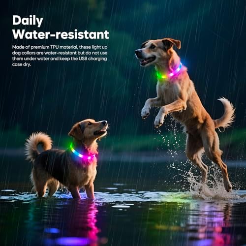 HIGO RGB LED Dog Collar Light - USB Rechargeable Light Up Dog Collars, Safety LED Dog Necklace for Your Dogs Walking at Night (Multi-Color) - Image 4