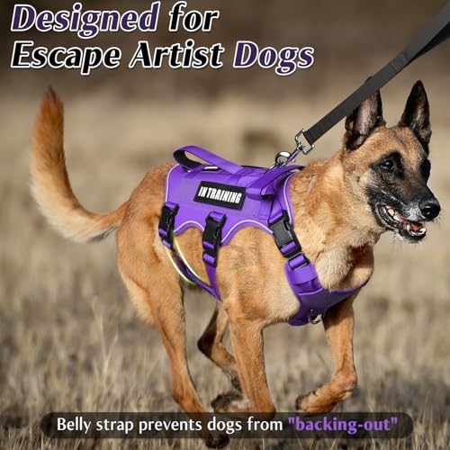 WINSEE Escape Proof Dog Harness with Double Handle+4 Removable Patches - Image 2