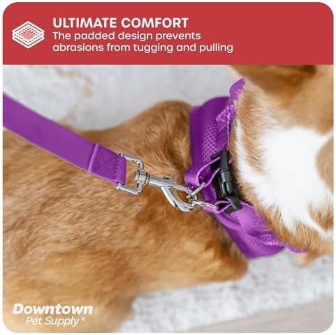 Downtown Pet Supply Step-in Dog Harness – No Pull, Adjustable Padded Mesh with Reflective Trim, Secure Buckle Strap – Comfortable & Breathable Small Dog Harness, Smal, Purple - Image 6
