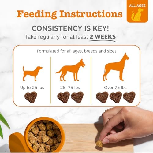 Zesty Paws Ancient Elements Probiotics for Dogs - Gut Health for Dogs, Bison, 90 Ct - Image 4