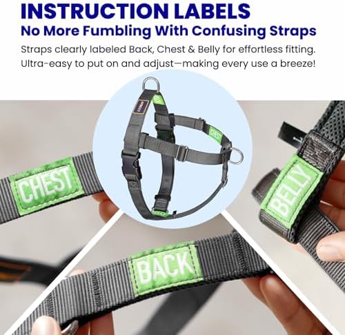 Freedom No Pull Dog Harness, Large Dogs, Black, XX-Large - Image 4