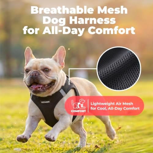 Voyager Step-in Air Dog Vest Harness - Black, X-Small - Image 5