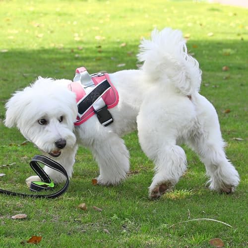 Bolux Dog Harness, No-Pull Reflective Dog Vest, Breathable Adjustable Pet Harness with Handle for Outdoor Walking - No More Pulling, Tugging or Choking (Fuchsia, Medium (Pack of 1)) - Image 5