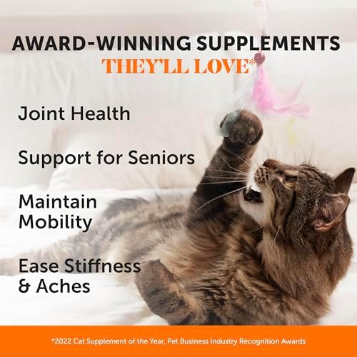 Pet Honesty Vet Backed Senior Cat Joint Supplement, Chicken, 900ct Chews - Image 2