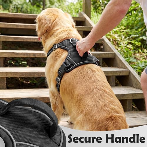 Funfox Dog Harness Small Sized Dog, No Pull Pet Vest with Front Clip - Image 4