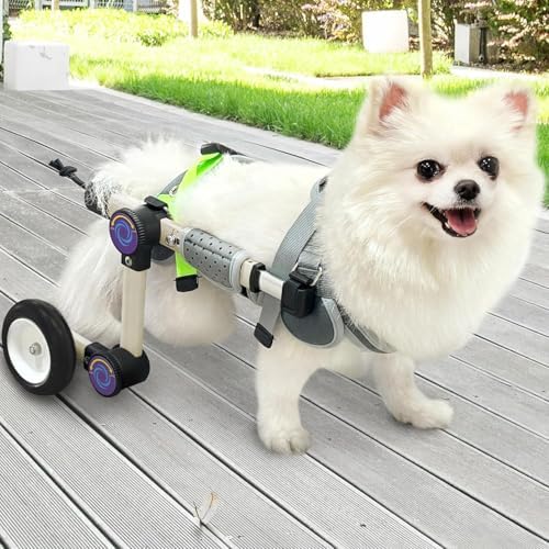 Dog Wheelchair for Back Legs, Adjustable Mobility Cart for Dog by Everystepfilledwithfreedom