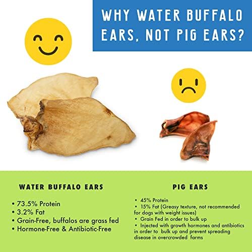 Pet Craft Supply Water Buffalo Ears Dog Chews, Aggressive Chewers, 16 Pack - Image 6
