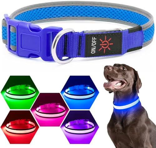 Flashseen LED Dog Collar, Light Up Dog Collar USB Rechargeable (Blue, Medium) by Flashseen