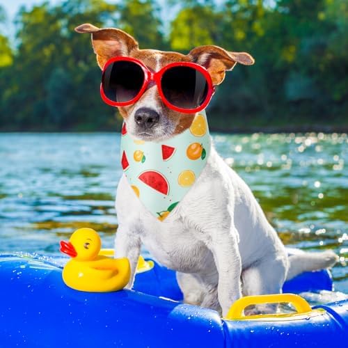 Weewooday 50 Pcs Fruit Dog Bandanas Bulk for Summer Soft Bibs Adjustable Triangle Pet Bandana for Small Medium Large Costume(Fruits Pattern, 25.6 x 17.7 x 17.7 Inch) - Image 6