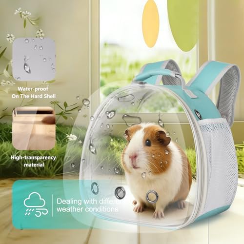 Guinea Pig Backpack, Space Capsule Bubble Window Small Animal Backpack for Guinea Pig, Bird Bunny Rat - Image 4