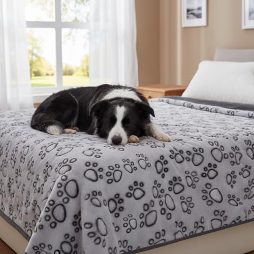 Stuffed Premium Soft Dog Blankets for Large Dogs, Large Cat Blanket Washable for Human Bed Couch Protection Cover, Dog Essentials for Dog, 66 * 82 inches, Grey by STUFFED
