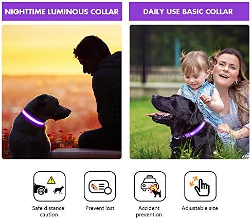 MASBRILL Light Up Collar, LED Rechargeable Glow Flashing Night Collar, Waterproof, 4 Colors, 3 Sizes for Small to Large Dogs (S(0.98 * 15.75"), Purple) - Image 5