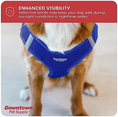 Downtown Pet Supply Step in Dog Harness for Teacup Dogs & Cats No Pull, XX-Small, Blue - Adjustable Harness with Padded Mesh Fabric and Reflective Trim - Buckle Strap Harness for Dogs - Image 7