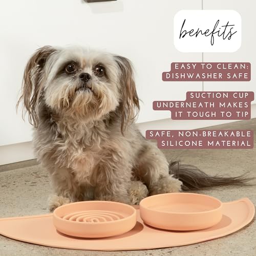 The Perfect Dish - Silicone Dog Bowl for Food & Water, 6" x 1.25"-Blush - Image 2