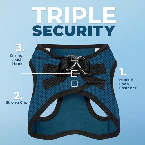 Best Pet Supplies Voyager Step-in Air All Weather Mesh Harness and Reflective Dog 5ft Leash Combo with Neoprene Handle, for Small, Medium and Large Breed Puppies - Blue/Black Trim, Medium - Image 3