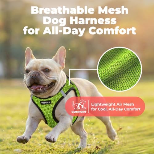 Voyager Step-in Air Dog Vest Harness - Lime Green 2-Tone, X-Small - Image 5