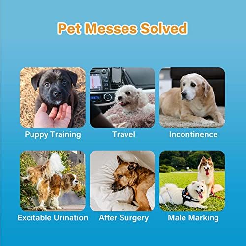 All-Absorb Male Dog Wrap, Large | 50 Count | Pack of 2 - Image 6
