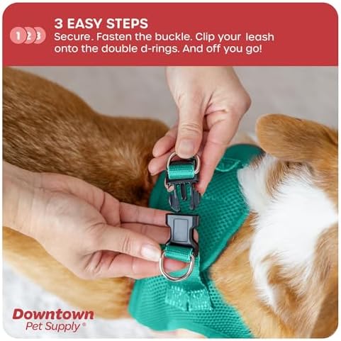 Downtown Pet Supply Step-in Dog Harness – No Pull, Adjustable Padded Mesh with Reflective Trim, Secure Buckle Strap – Comfortable & Breathable Small Dog Harness, Small, Bermuda Blue - Image 5