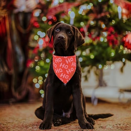 PTDECOR Christmas Dog Bandana, Red Green Xmas Santa Dog Scarf, Large - Image 2