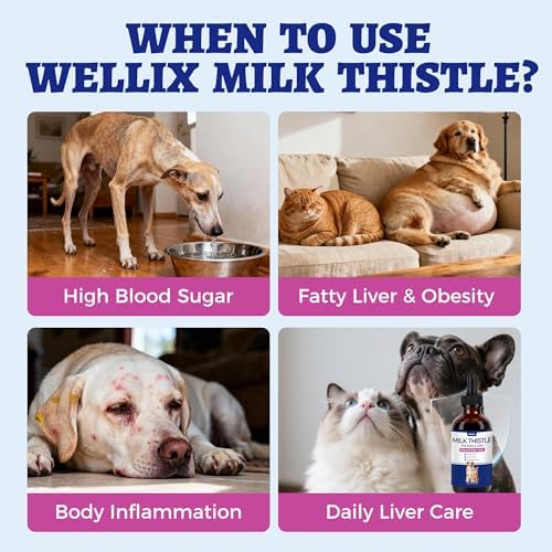 Wellix 120ml Liquid Milk Thistle for Cats & Dogs, Aiding Liver Health - Image 5