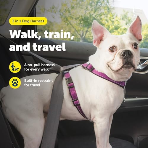 PetSafe 3 in 1 Dog Harness - No Pull Solution for Dogs - Reflective Dog Harness - Front D-Ring Clip Helps Stop Pulling - Comfortable Padded Straps - Top Handle Enhances Control - Plum - Small - Image 2