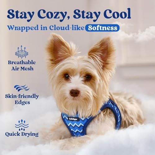 rabbitgoo Step-in Small Dog Harness, Puppy Vest for Small Medium Sized Pet - Image 3