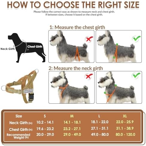 SlowTon No Pull Dog Harness and Leash Set - Heavy Duty, Soft Padded - Image 6