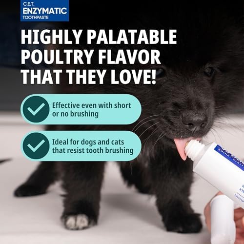 C.E.T. Oral Hygiene Kit for Dogs, Poultry flavor Toothpaste with Toothbrush - Image 4
