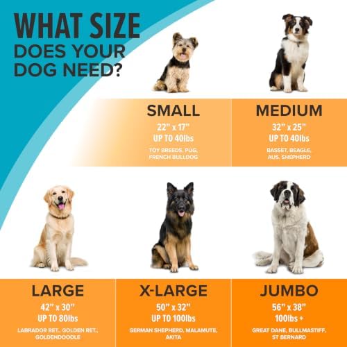 K&H Outdoor Elevated Dog Bed for XL & Giant Pets, Charcoal, Jumbo 56x38in - Image 3