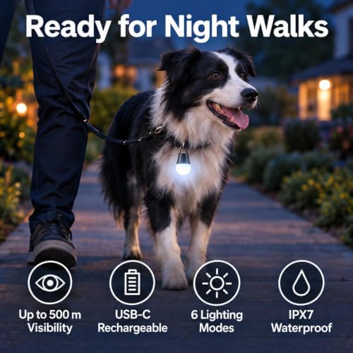 360° Light Up Dog Collar Light, Clip On Dog Light for Night Walking, 2 Pack - Image 2