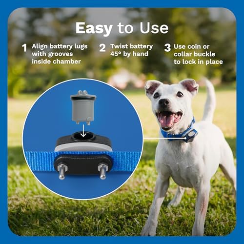 Invisible Fence Brand Power Cap Battery, 2-Pack - Image 5