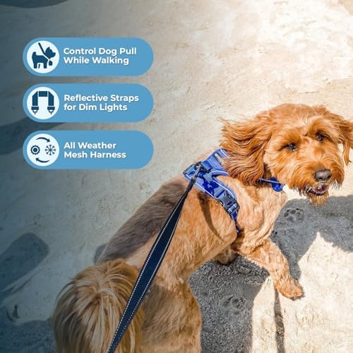 Voyager Dog Harness Dual Leash Attachment No-Pull Control Adjustable Soft but Strong Pet Harness for Medium and Large Dogs with 3M Reflective Technology, Leash Set Royal Nylon, XS (Chest: 13-16") - Image 2