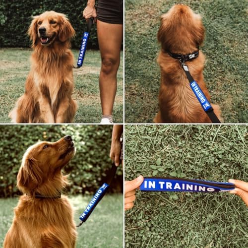 Waterproof Dog Leash Sleeve, in Training Dual-Sided Message Wrap, 1-Pack - Image 5